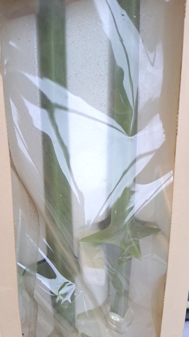 John F. Kennedy Flame Of Hope Candle In Box & Framed Jfk Portrait Fabian Bachrach - 3