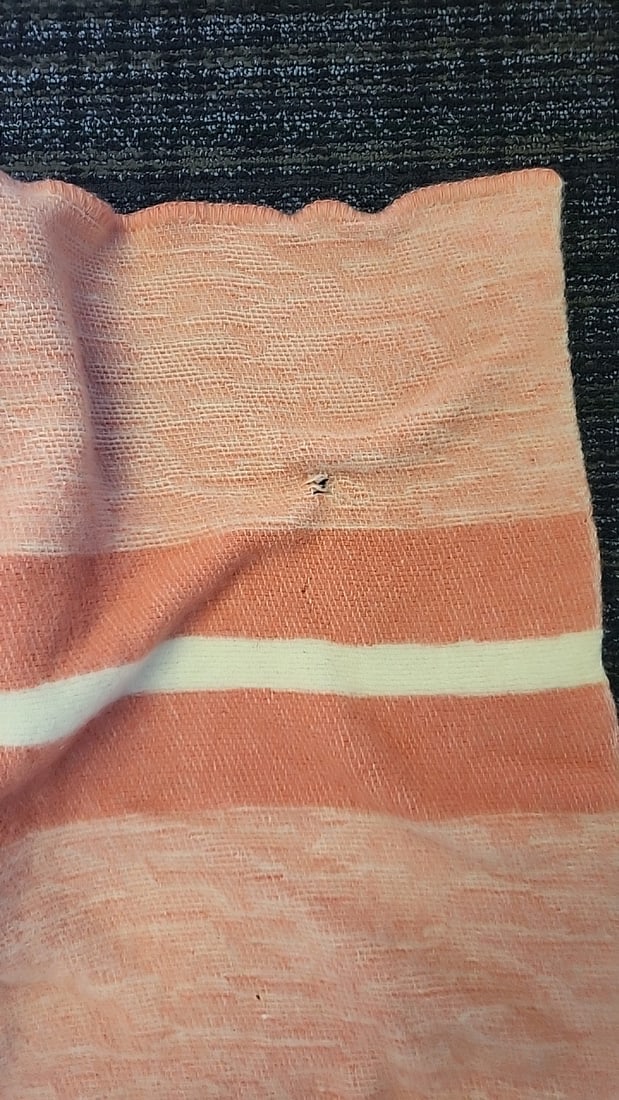 Golden Dawn By Annis Virgin Wool Blanket Peach Cream Striped J.C. Penney - 6