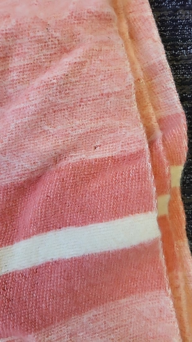 Golden Dawn By Annis Virgin Wool Blanket Peach Cream Striped J.C. Penney - 7