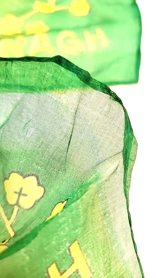 Pair Of Green Erin Go Bragh Irish Harp Shamrock Parade Flags On Wooden Sticks. Made In Japan - 6