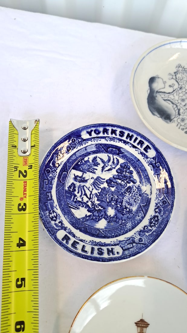 Souvenir Plate Lot Sea World Yorkshire Relish Space Needle - 6
