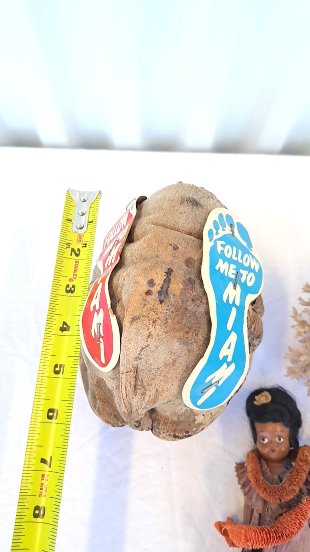Souvenir Lot Islands Of Hawaii Mats Miami Coconut Hula Doll Coral - 11