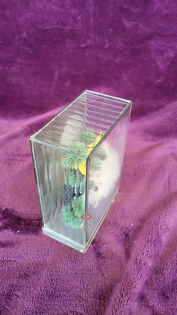 Glass Display Diorama With White Fuzzy Dog, Yellow Bird And Bonsai Tree - 5