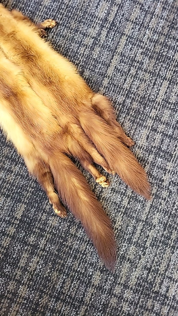 Tan Brown Mink Fur Stole Wrap With Heads, Legs, Paws And Tails - 6
