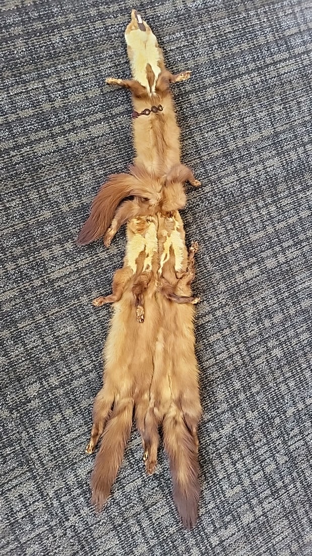 Tan Brown Mink Fur Stole Wrap With Heads, Legs, Paws And Tails - 7