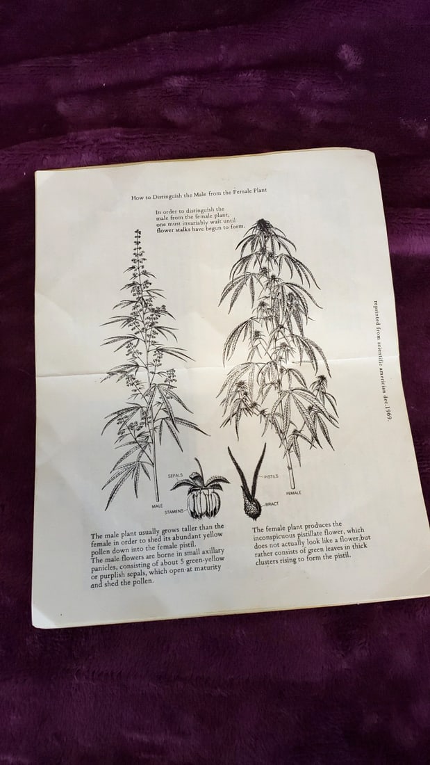 Lot Of 2 Marijuana Books Pot A A Handbook Of Marihuana The Complete Guide To Growing Marihuana - 4