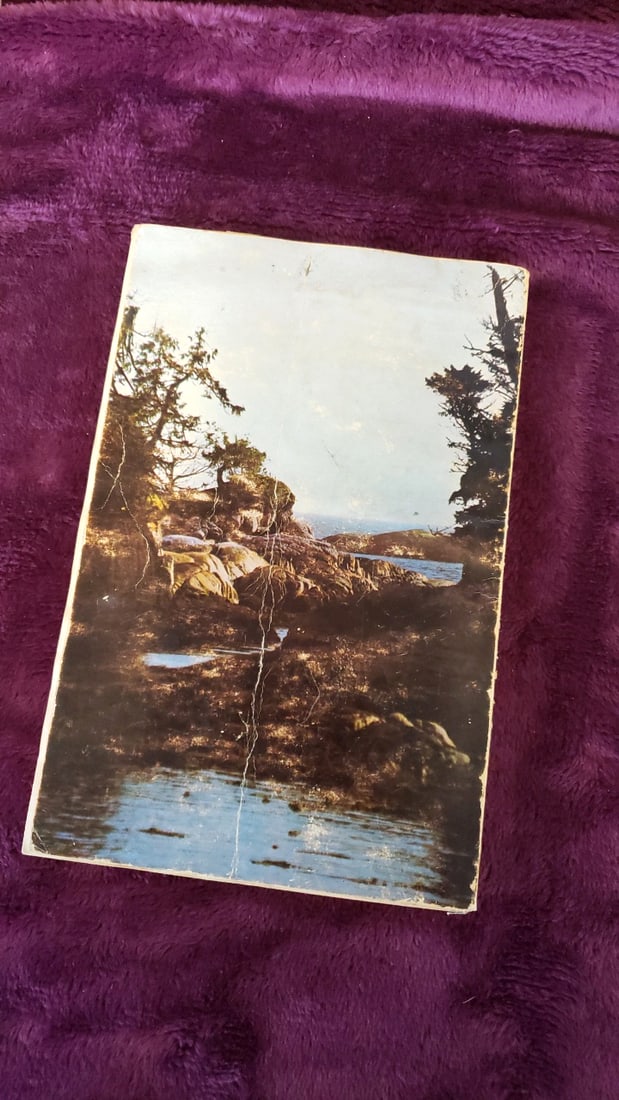 Anchorage Alaska Ski Patch, Star Patches, T Patch, Washington Fishing Snoqualmie Booklets Lot As Is - 13