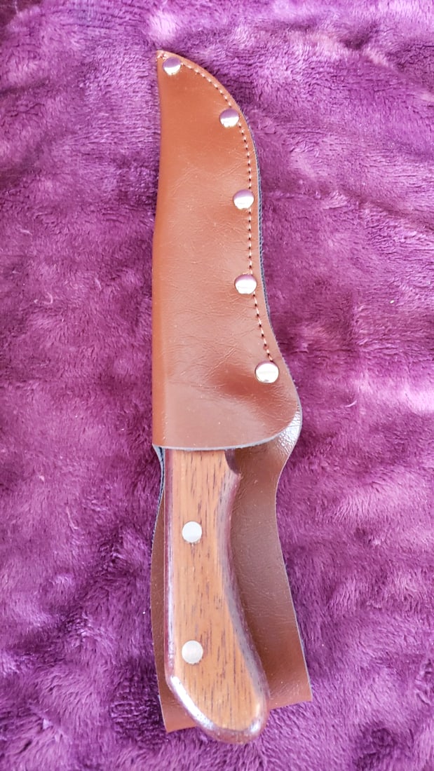 Hunter's Choice Stainless Fixed Blade Hunting Knife Wood Handle Leather Sheath Box Japan - 5