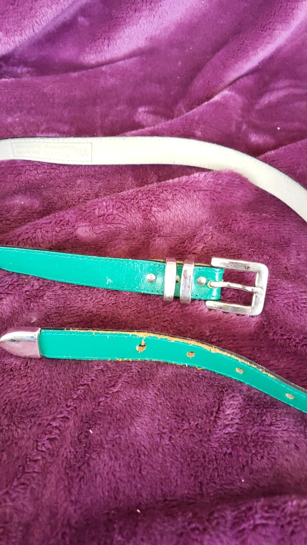Lot Of Womens Fashion Belts Gold Chain Pink Fabric Teal Braided Tassel Metallic Styles As Is - 7