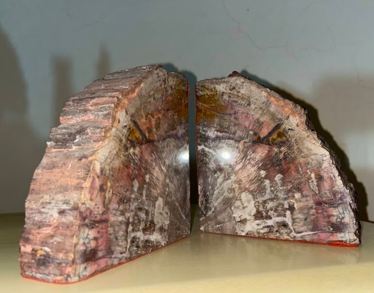 Geode Bookends: Arizona Petrified wood. About 150 million years ago this wood was buried beneath silt in a sea. It was replaced by silica minerals, etc., causing its gem hardness and rainbow colorsMeasurements: 5x2x5