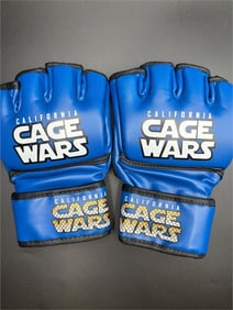 California Cage Wars MMA Gloves Blue Pair