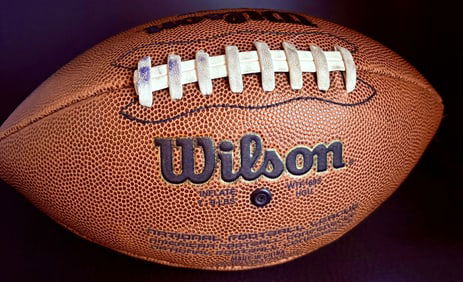 Wilson NFL Official Touchdown Football