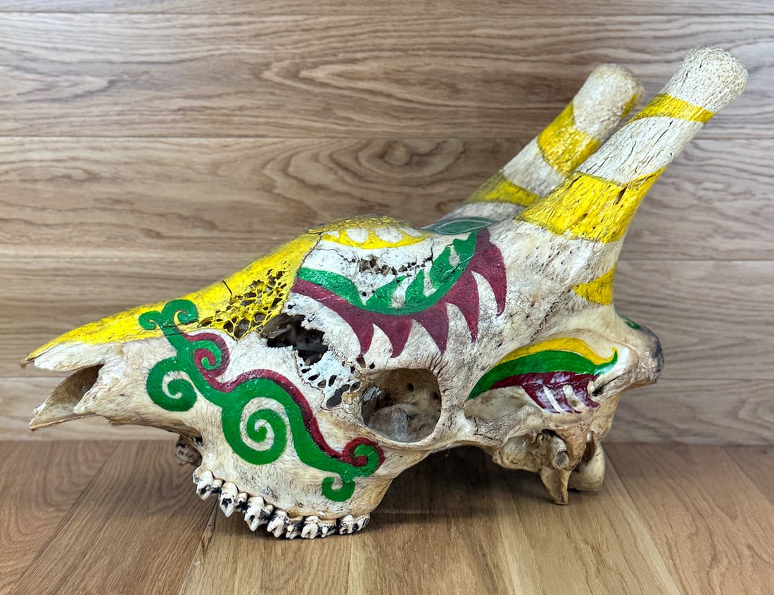 Giraffe Skull Painted (1 of 2)
