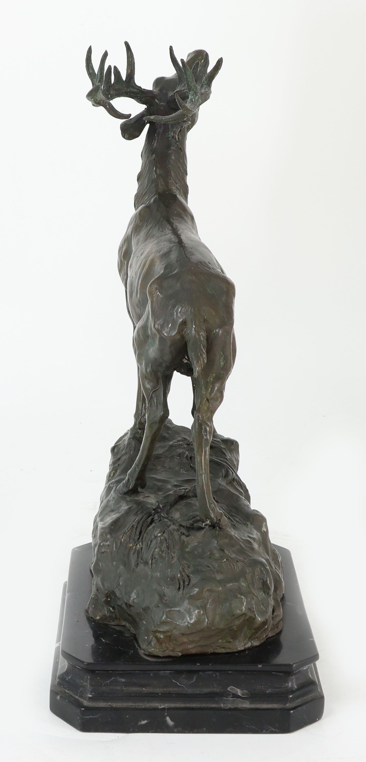 Roaring Stag, bronze - 4