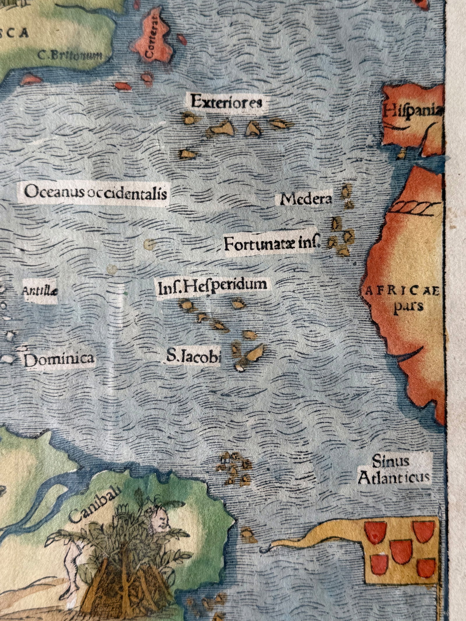 “Die Nüw Welt” (The New World), Tabula novarum insula - 2