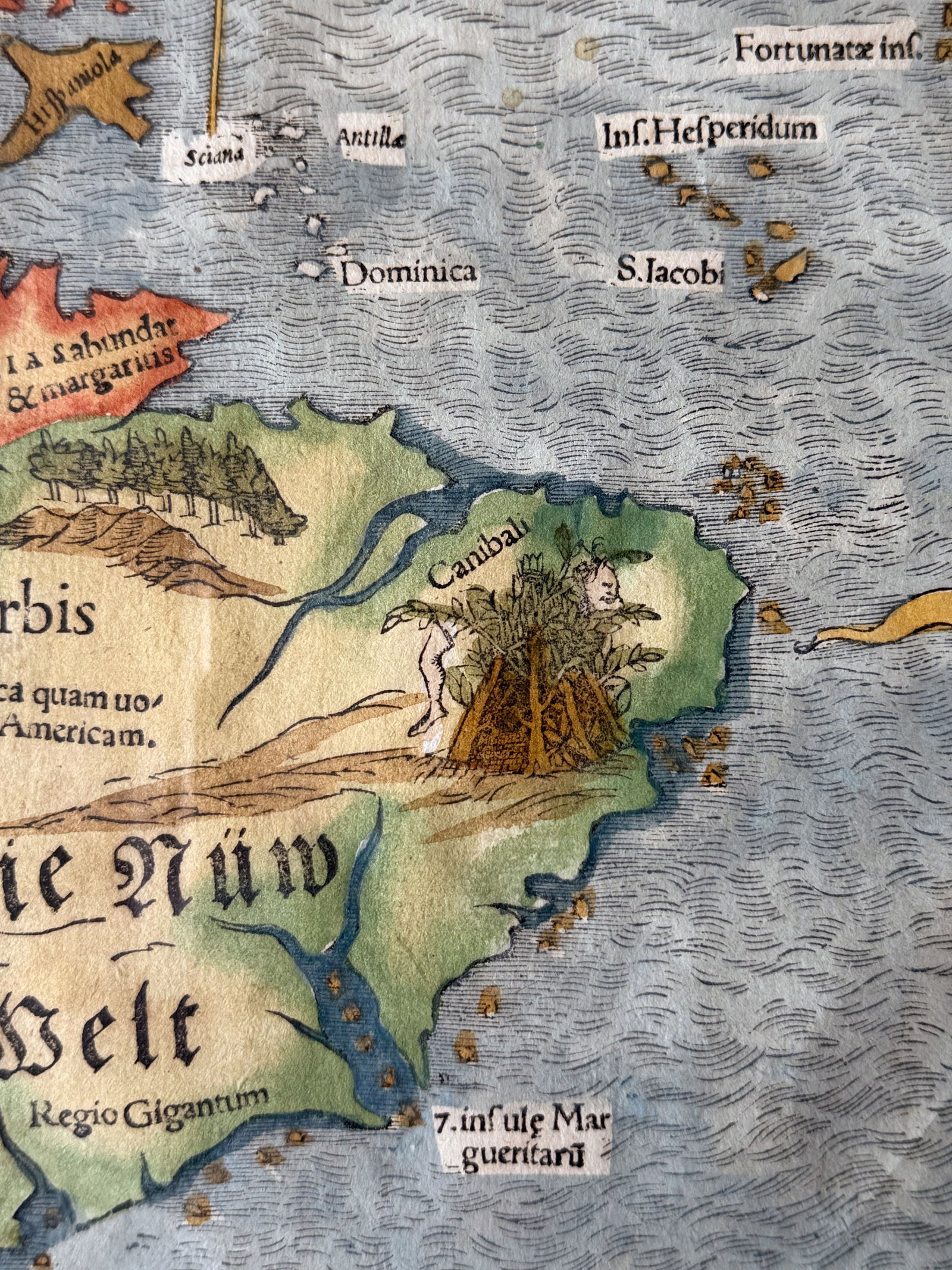 “Die Nüw Welt” (The New World), Tabula novarum insula - 4
