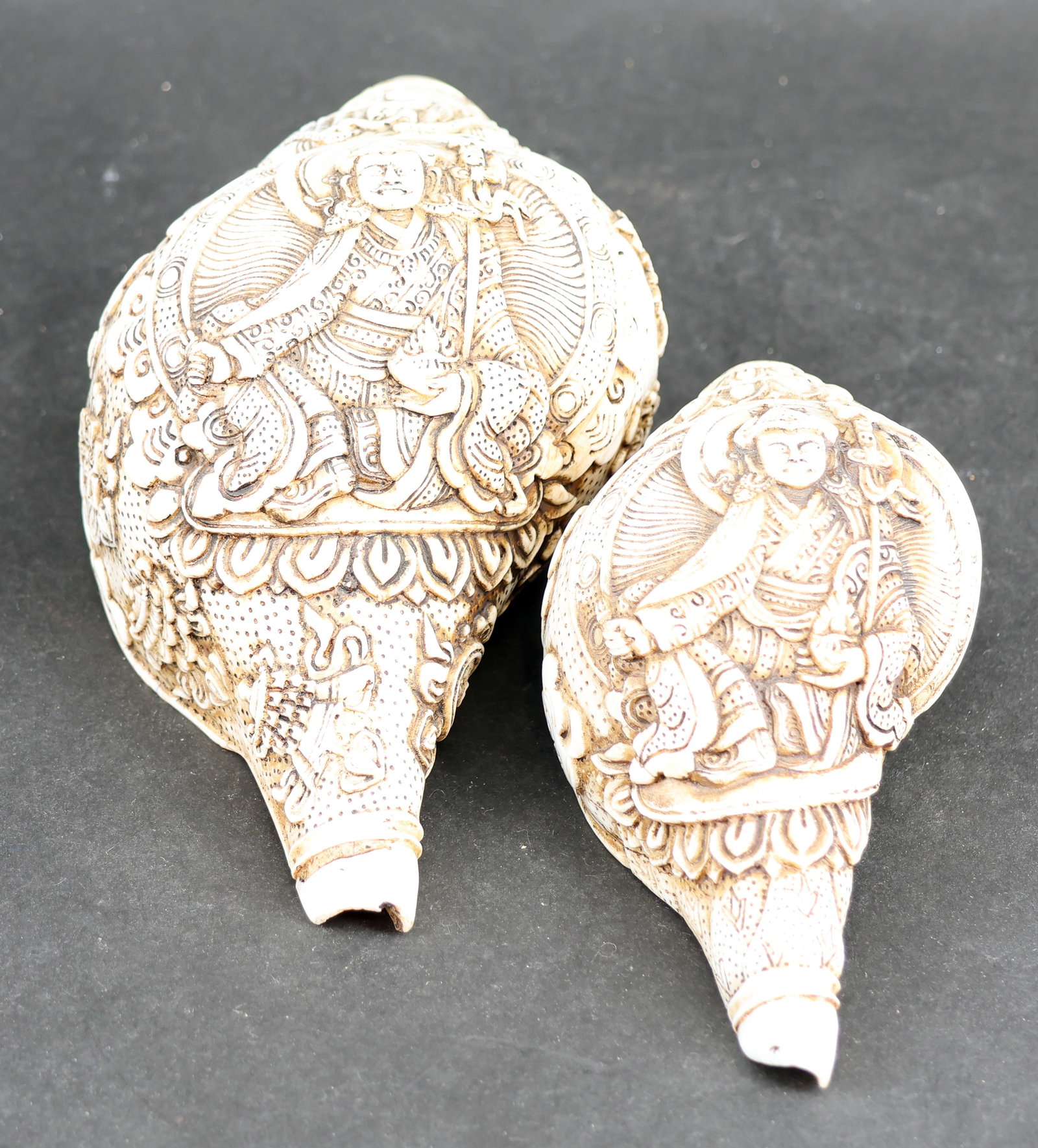 Shanka Shell - 2