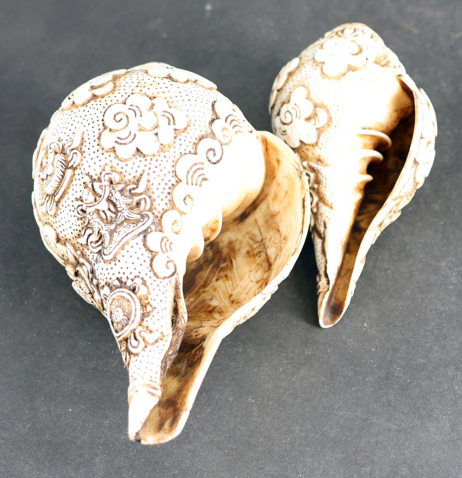 Shanka Shell - 3