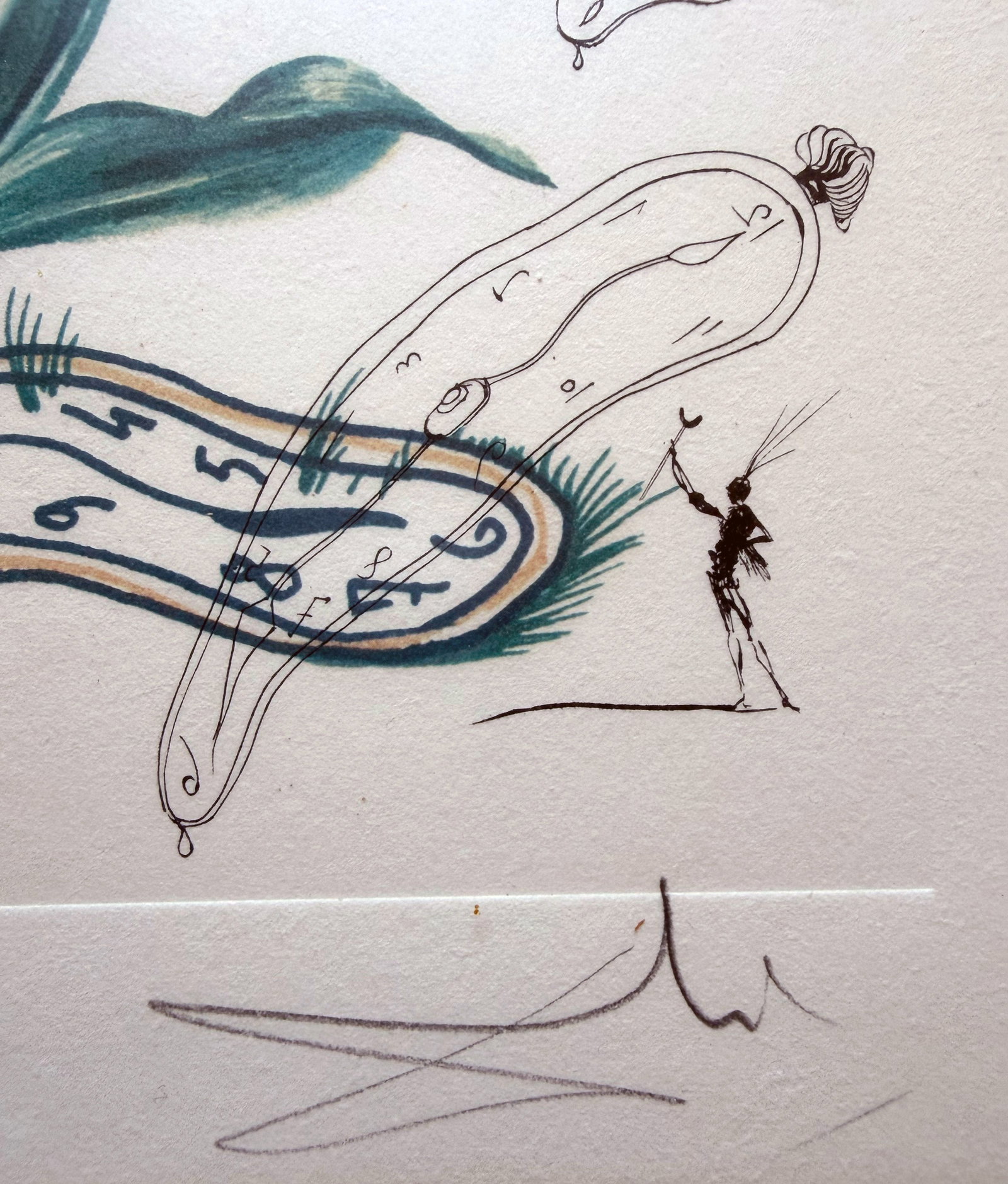 After Salvador DALI (1904–1989), Lilium longiflorum - 3