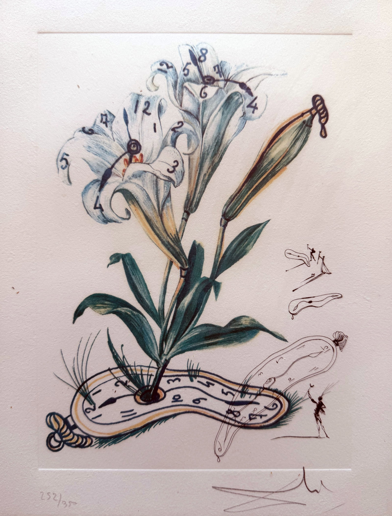 After Salvador DALI (1904–1989), Lilium longiflorum - 4