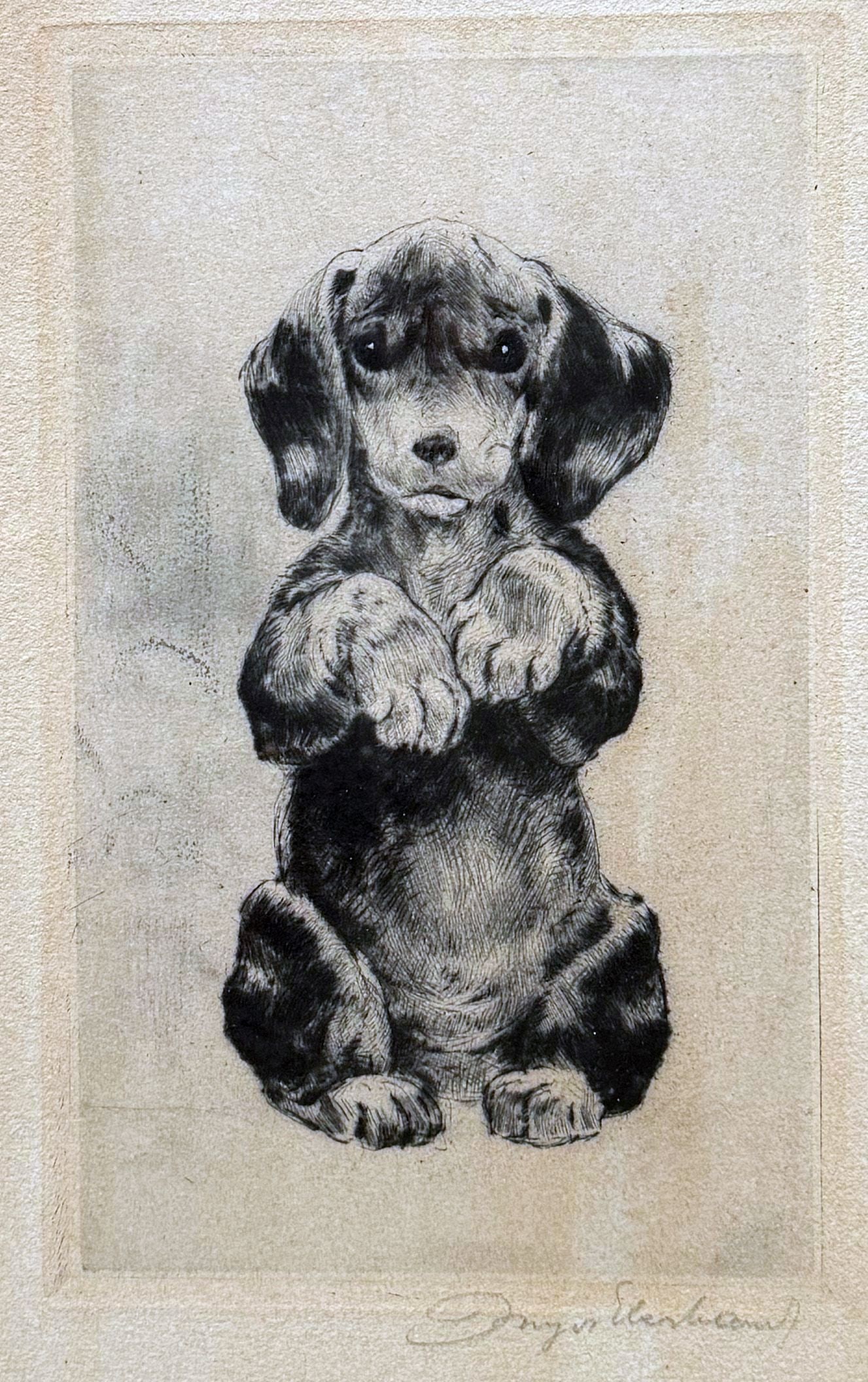 Kurt MEYER-EBERHARDT (also Curt, 1895–1977), - 3