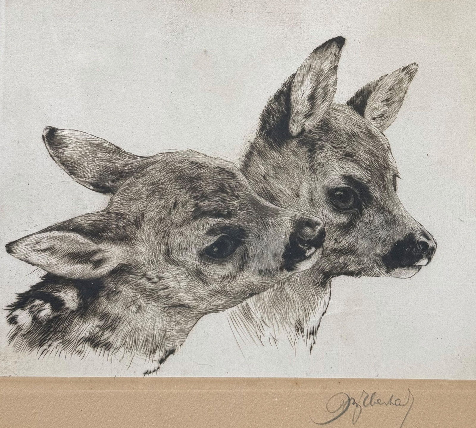 Kurt MEYER-EBERHARDT (also Curt, 1895–1977), - 4