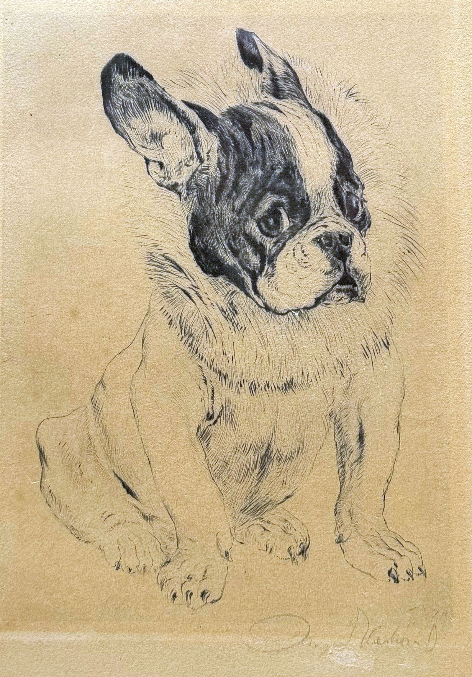 Kurt MEYER-EBERHARDT (also Curt, 1895–1977), - 6