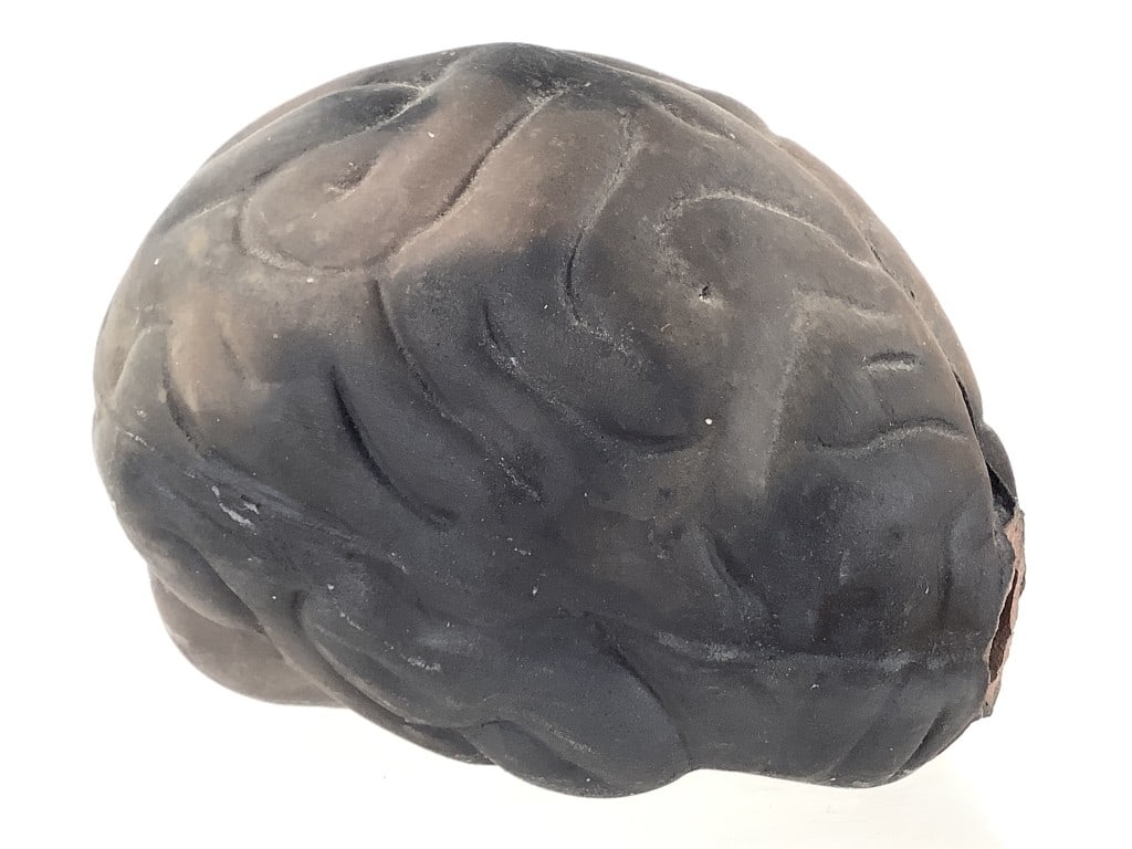 Anatomical Molded Brain: 4 1/4"L stoneware molded hollow brain, unmarked, large hole at the front. EDS aims to describe and photograph all items thoroughly and accurately, however other conditions present may not have been ob