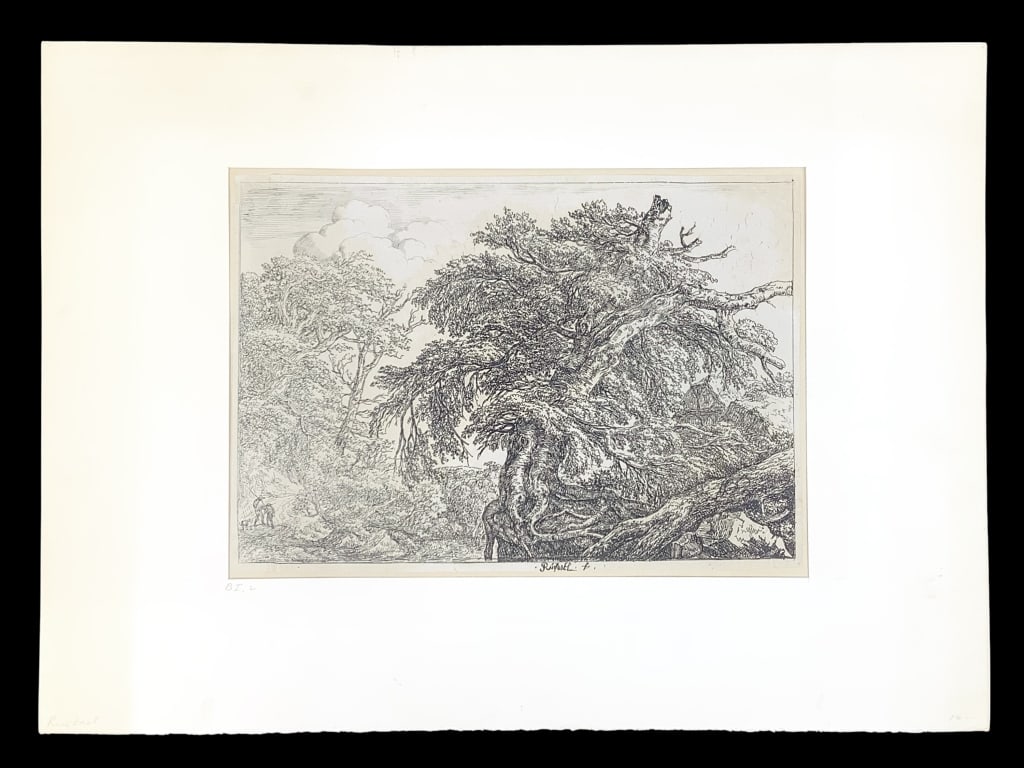 Jacob van Ruisdael Great Beech Etching: van Ruisdael, Jacob (Dutch 1628/9 - 1682). The Great Beech Tree, with Two Men and a Dog, originally c. 1650?55, unknown state or edition. Signed centrally below image in ink. 7 5/8" x 11" (Sheet). Unf