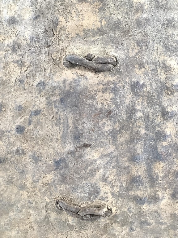 Ethiopian Hippo Hide Shield - 8