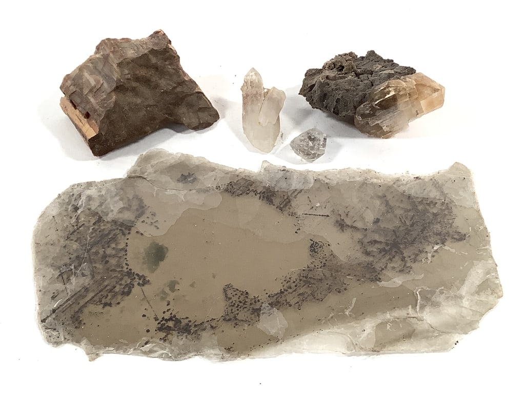 Mica Sheet Petrified Wood & Quartz Crystals (1 of 11)