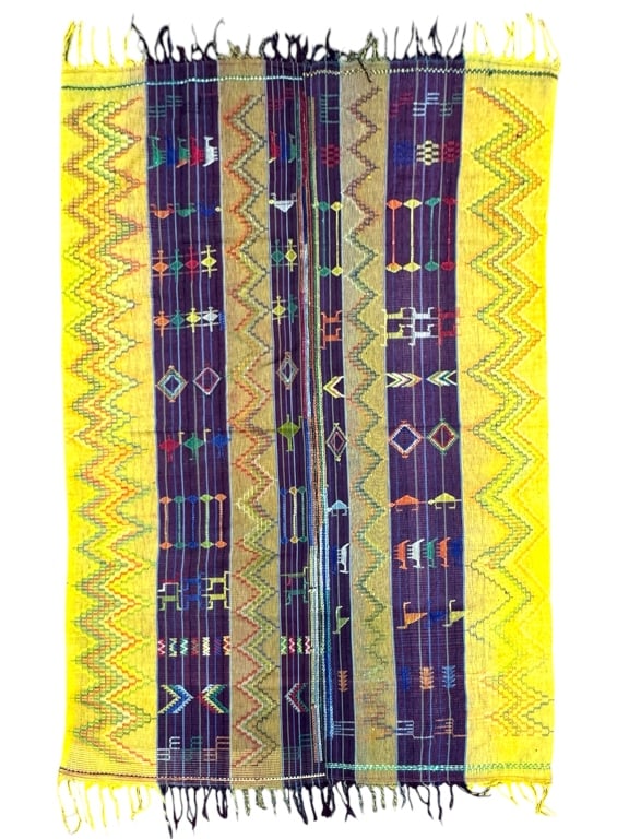 Nupe Wrapper w Laid in Weft: 66" x 51 1/2" excluding fringe. Few repaired holes, has cotton sleeve on the back for hanging. Provenance: Collection of William and Diane Itter. Please see photos for condition and details.