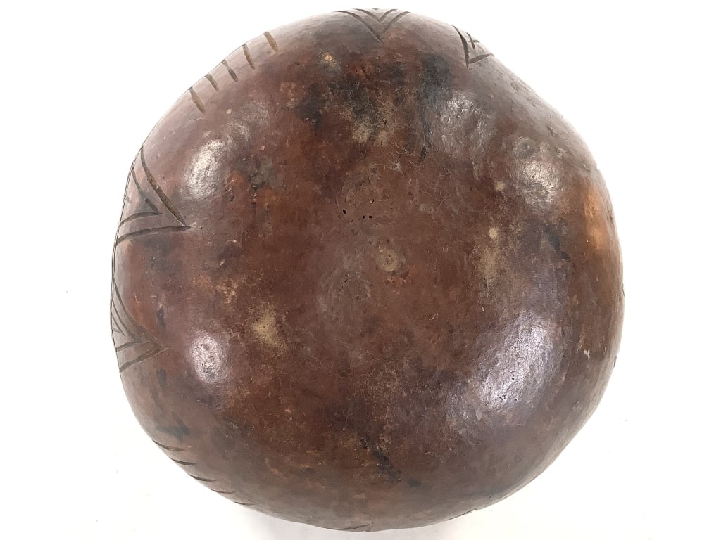Large African Gourd - 4
