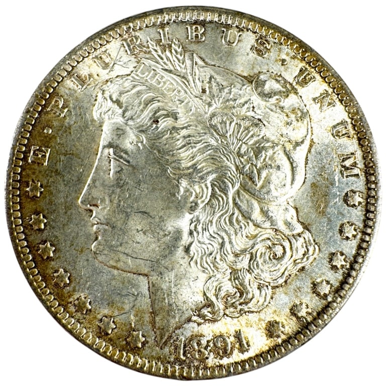 1891 CC Morgan Silver Dollar Spitting Eagle: Circulated but excellent condition.