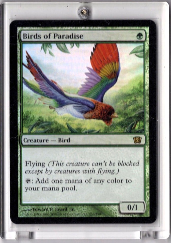Birds of Prey MTG Foil (1 of 1)