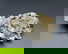 item-208404011=1