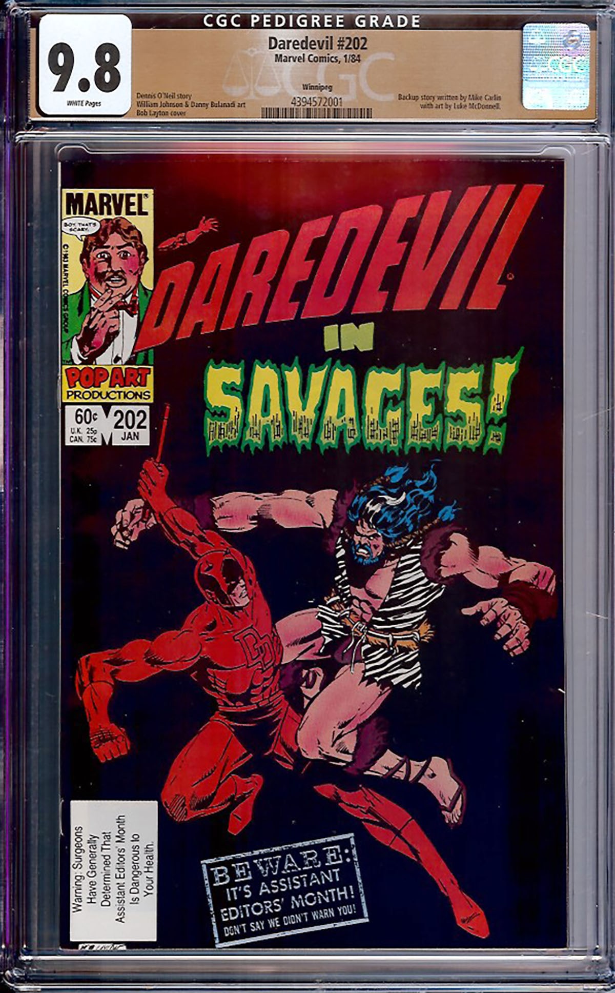 Daredevil #202 CGC 9.8 w Winnipeg Rare collectible with strong visual appeal and excellent display (1 of 1)