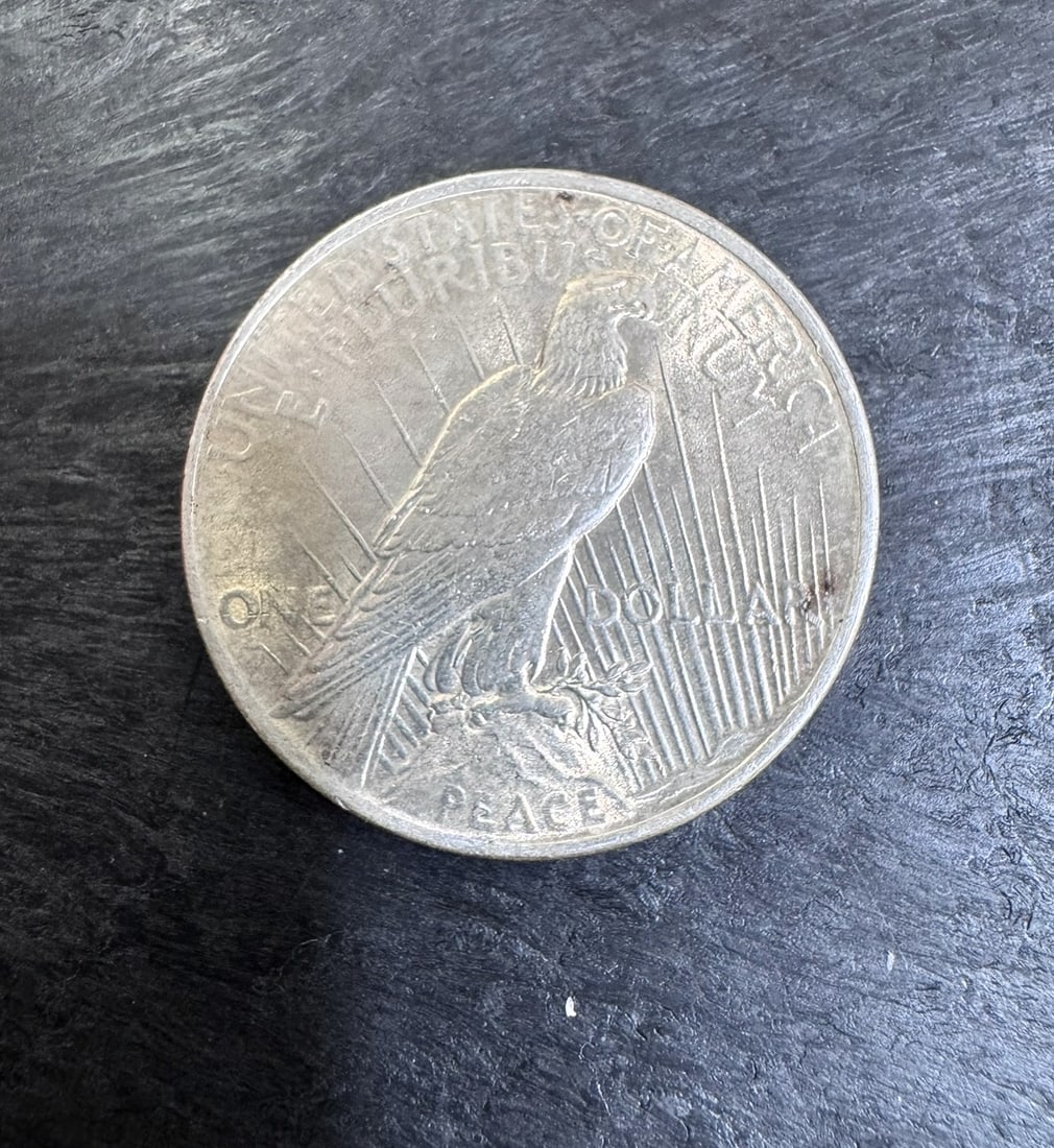 1928 Peace Silver Dollar (1 of 2)