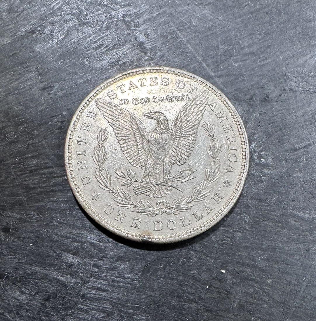 1879 Morgan Silver Dollar (1 of 2)