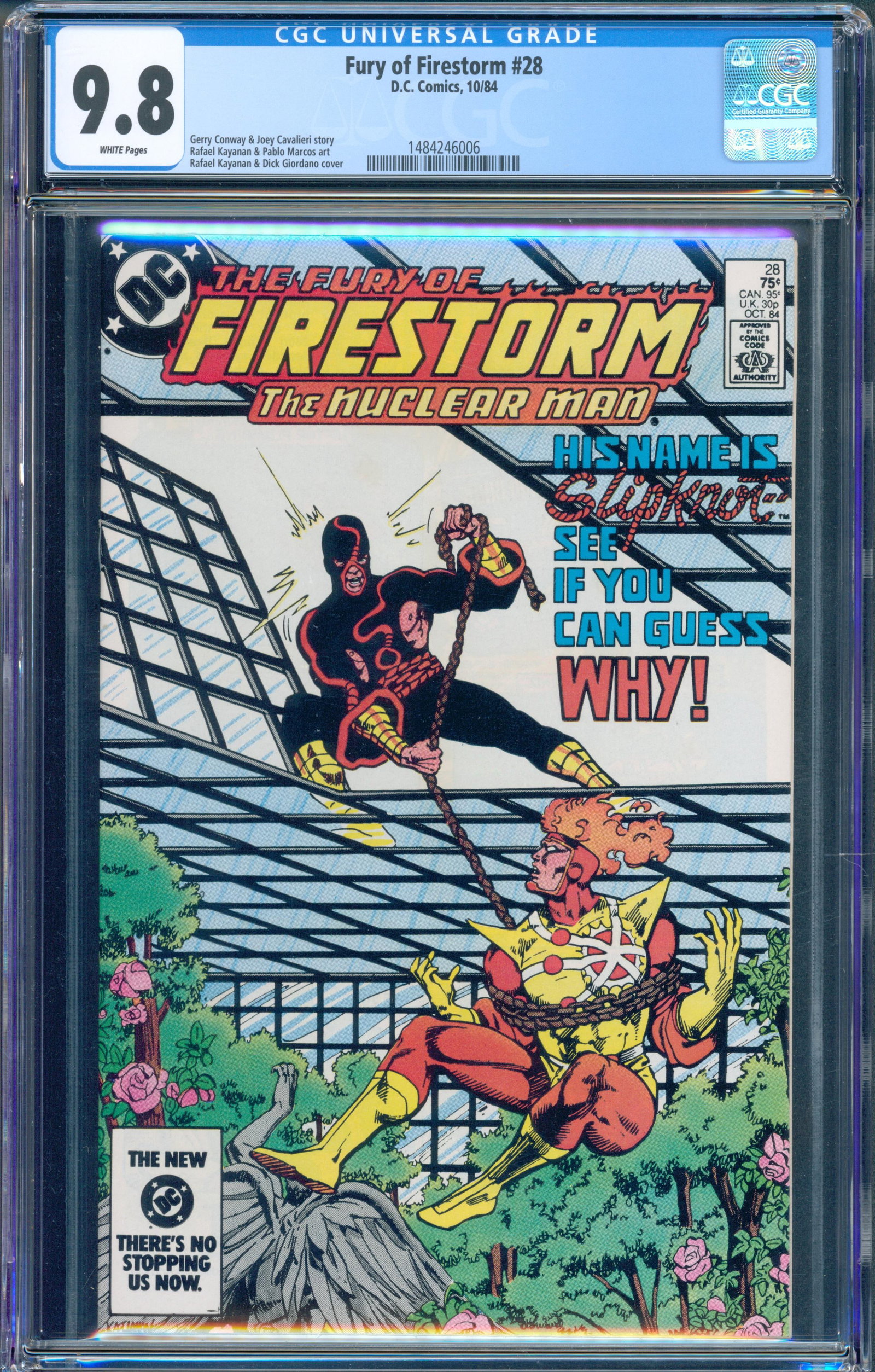 The Fury of Firestorm #28 (DC, 1984) CGC 9.8: The Fury of Firestorm #28 published by DC Comics in 1984 and graded CGC 9.8 with White pages. This Copper Age issue features Firestorm battling Slipknot, a character later introduced to a new generati