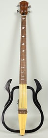 Funky Bass Guitar!