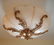 French style semi-flush ceiling fixture - 2