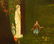 19th c. oil painting, Dream of Arcadia - 4