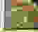 item-64207002=2