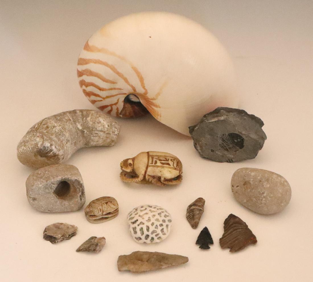 13 Artifacts/Fossils/Carvings: Nautilus Shell, Fossils, Carvings, & Rocks. Including 12 various objects including a Nautilus shell, rocks, fossils, and two carved scarabs together with 1 bag of rock/mineral fragments. Various stage