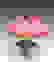 item-77762519=2