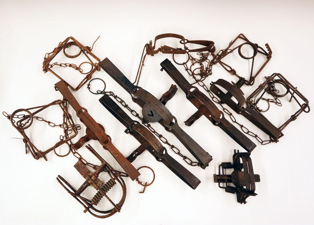 12 Animal Traps (1 of 1)