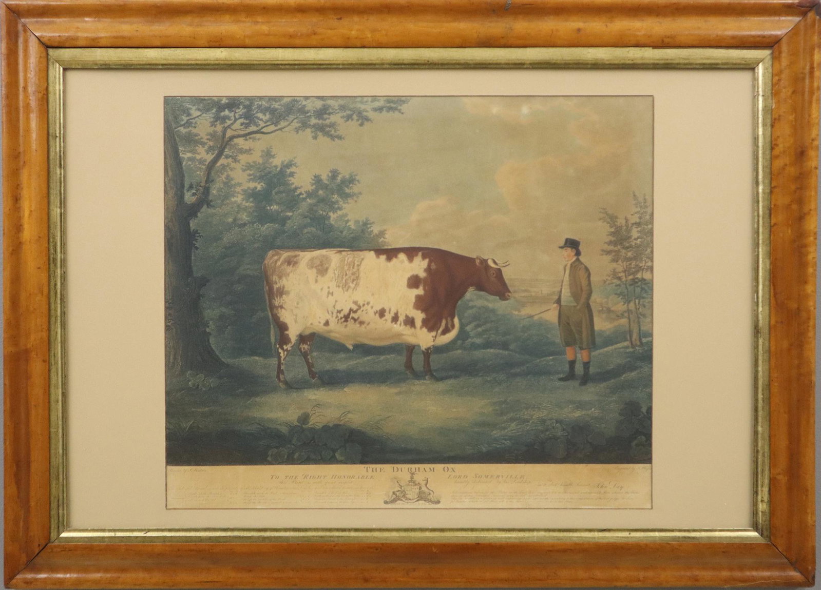 John Whessel/John Day "Durham Ox": John Whessel (British, c.1760-1823) after John Boultbee (British, 1753-1812). Stipple engraving printed in colours entitled "THE DURHAM OX" , published by John Day, March 20, 1802. Toned, some tears a