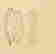 item-89821600=6