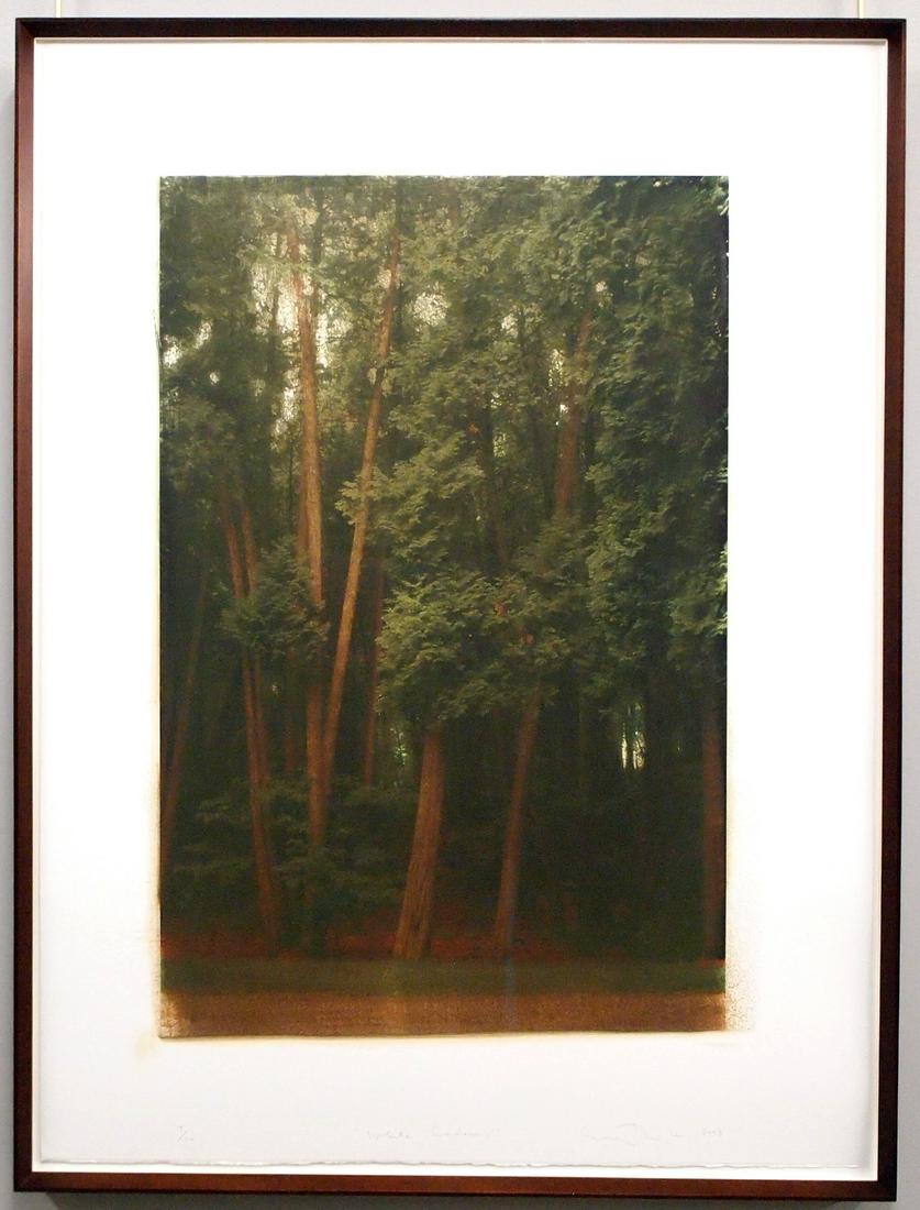 E. Phalen Lithograph (1 of 5)